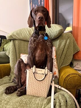 Calvin Klein Cream/Tan Monogram Crossbody Tote